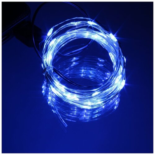 ���� �������� 