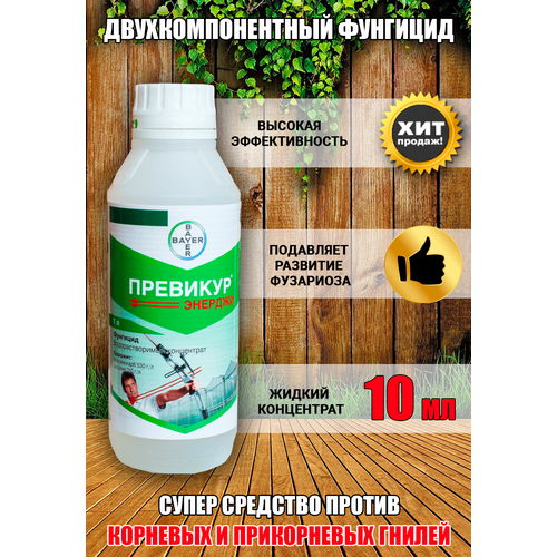 ���� �������� �������, 10 ��, ������ �� 300 ���