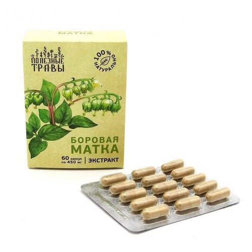 ���� �������� ����� � ������� �������� ����� ������� �����, 6 �, 60 ��., ������ �� 637 ���