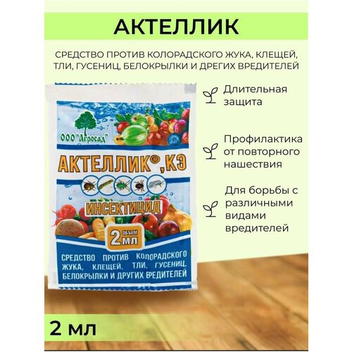 ���� �������� ������ �������� ��������, ������ �� 180 ���