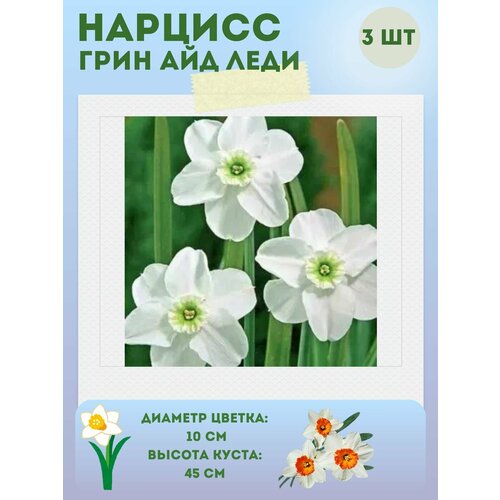 ���� ������� ���� ��� ����, ����������� �����, �������� 3 ��, ������ �� 360 ���