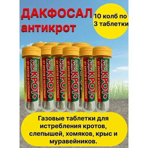 ���� �������� �� �������� �������� �������� �� ������ 10 ����, ������ �� 800 ���