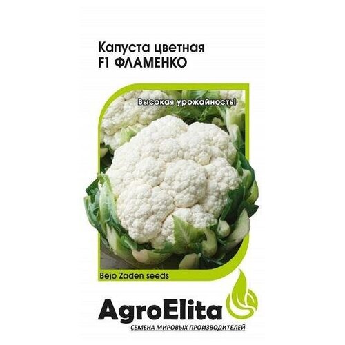 ���� ������. ������� ������� 