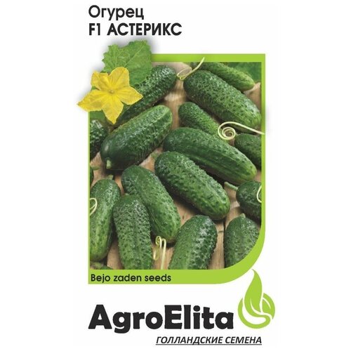 ���� ������ ��������� 