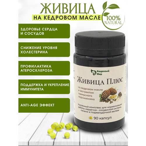 ���� ������ ��������, 90 ������, ������ �� 456 ���