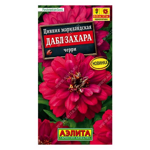 ���� ������. ������ 