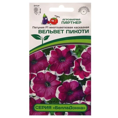 ���� ������ ������� 