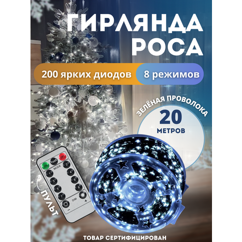 ���� �������� ���� 20 ������ ������� ��������� �������� ��������, ������ �� 890 ���