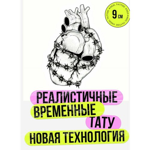 ���� ���� ���������� �������������� ��������, ������ �� 350 ���