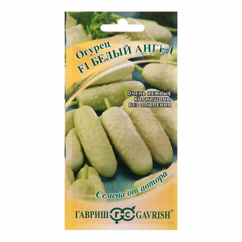 ���� ������ ������ 