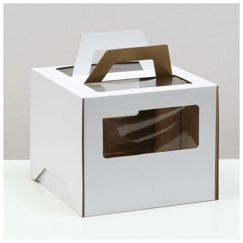 ���� ������� ��� ���� 2 ����, � �������, �����, 24 � 24 � 20 ��, ������ �� 282 ���