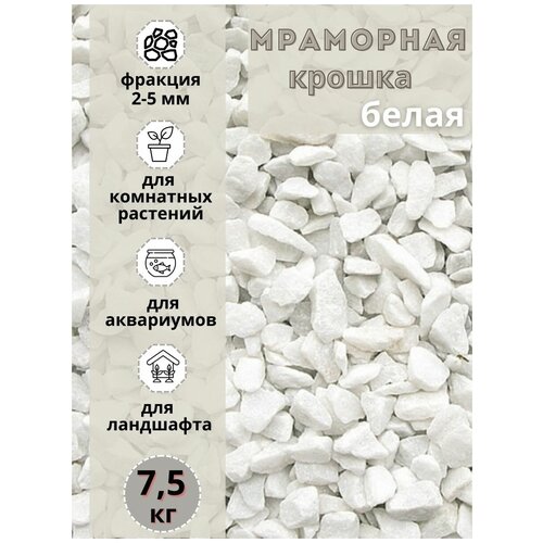 ���� ��������� ������ ����� ������� 2-5�� (7.5 ��) ����� ����������� ��� ��������� � ������� ��������, ������ �� 1390 ���