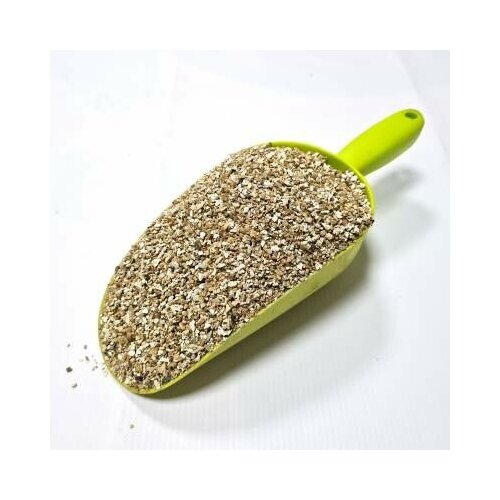 ���� ���������� 50 ������ ������� ����� ��� ���� � ���� ������� ����, ������ �� 1899 ���