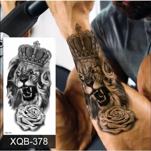 ���� ���� ���������� ��������� ��� ������ � ������ / ������ ��� ����, ������ �� 330 ���