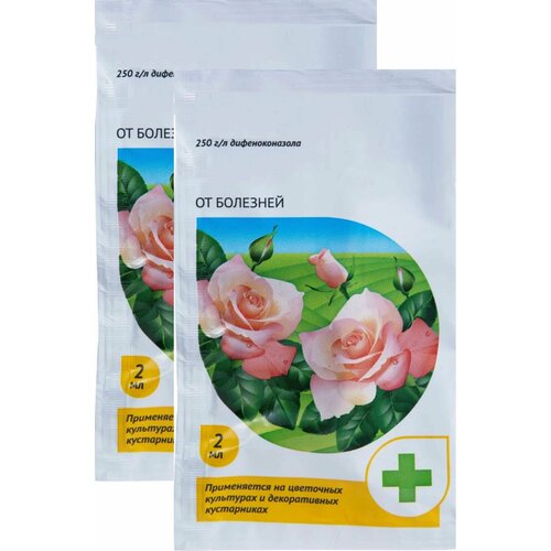 ���� �������� �� �������� ��� � ������ ��������� �������, 2 ������ �� 2 ��. ����������� �������� ��� ������ � ������������� ��������� ����, ����� ����� � ������ �����������, ������ �� 746 ���