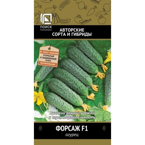 ���� ������ ������ ������ F1 12�� ������������������ ������ (�����) �����, ������ �� 50 ���