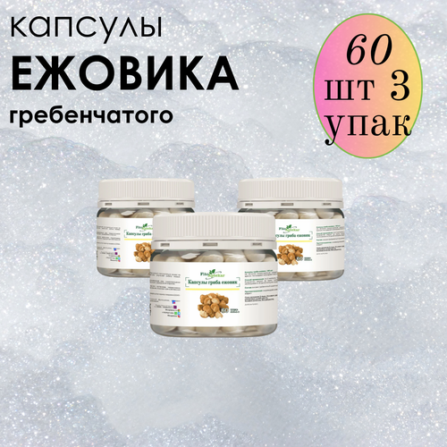 ���� ������ ���� ����������� � �������� ����-��������, ����������� ������� ������� 60 ��*3 ��������, ������ �� 1683 ���