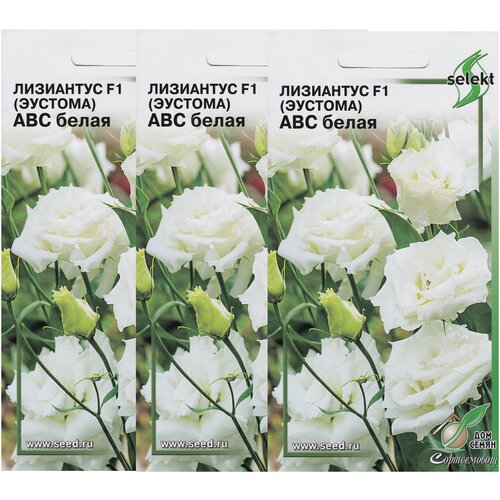 ���� ��������� F1 (�������) ��� �����, 3 �������� �� 5 �����, ������ �� 495 ���