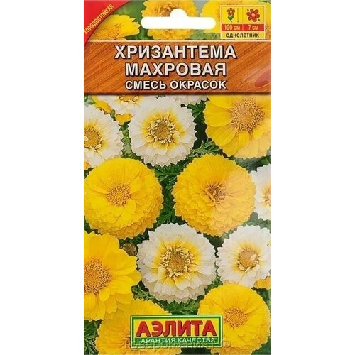 ���� ������ ������ ���������� ���������� ��������, ����� (0,2 ��.), ������ �� 42 ���