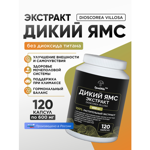 ���� ����� ��� - ��������� - �������� �� ����Nik - 120 ������ �� 600��, ������ �� 1648 ���