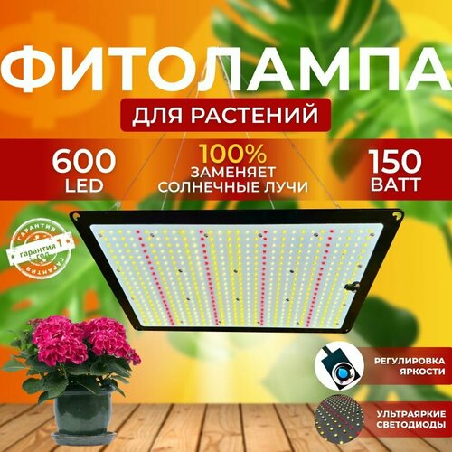        ,    Quantum board,       150 ,   10800 