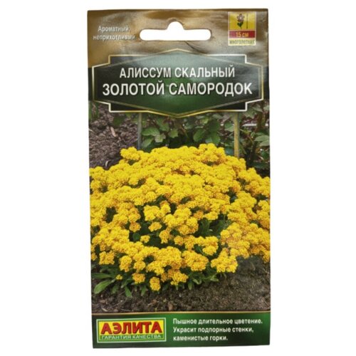 ���� ������ ��������� ������ ������� ������� ��������� 0,1 �, ������ �� 55 ���