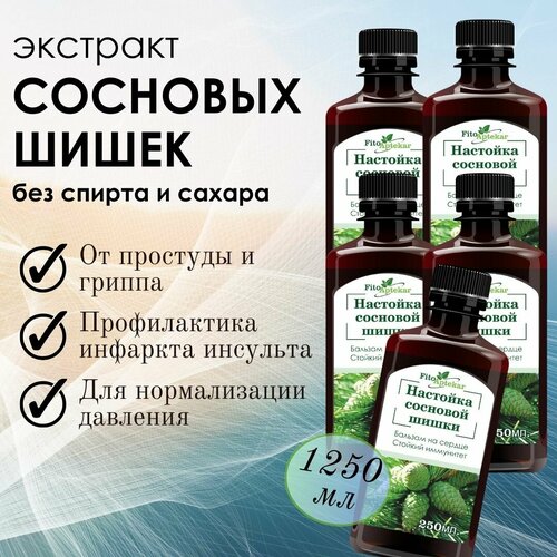 ���� �������� �������� ����� 