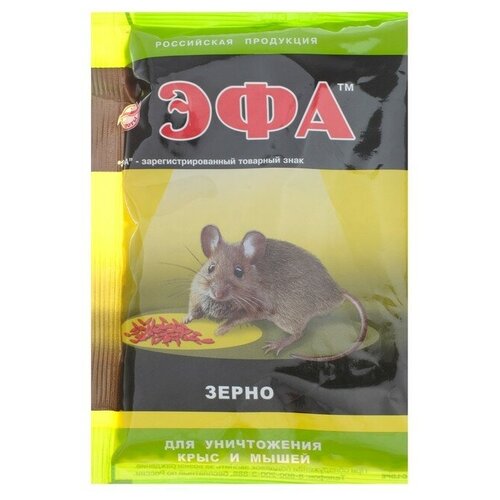 ���� ��� �������� �������� �� �������� 