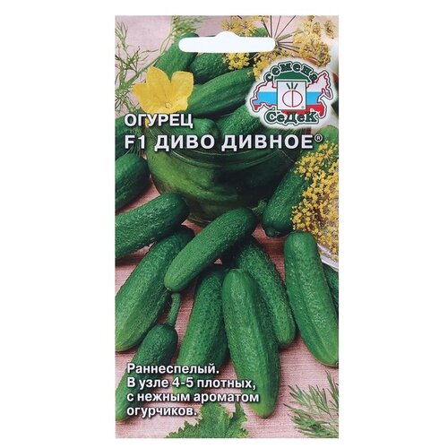 ���� ������ ����� ������ ���� ������ F1 0,2 �, ������ �� 82 ���