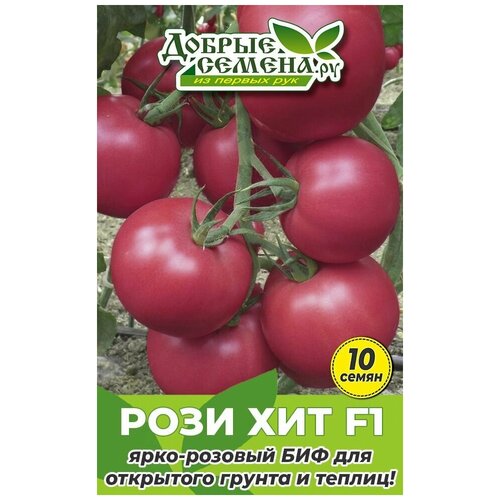      F1 - 10  -  . ,   144 