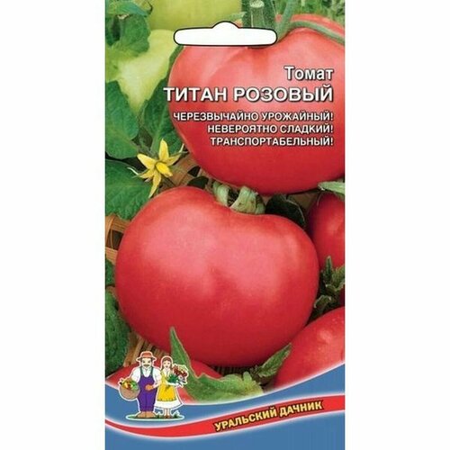 ���� ������ ����� ����� ������� (�����������), ������������, 20��, ������ �� 42 ���