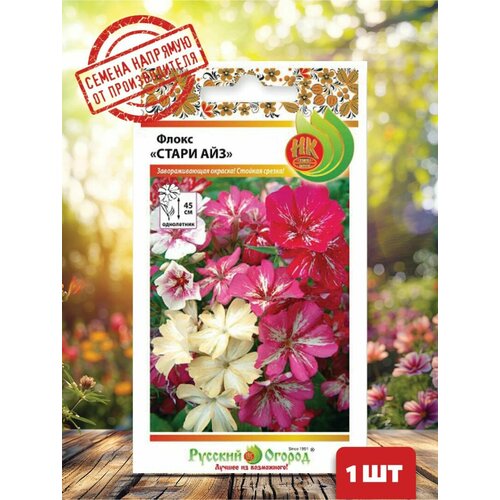 ���� ����� ����� ���, �����, ������ �� 203 ���