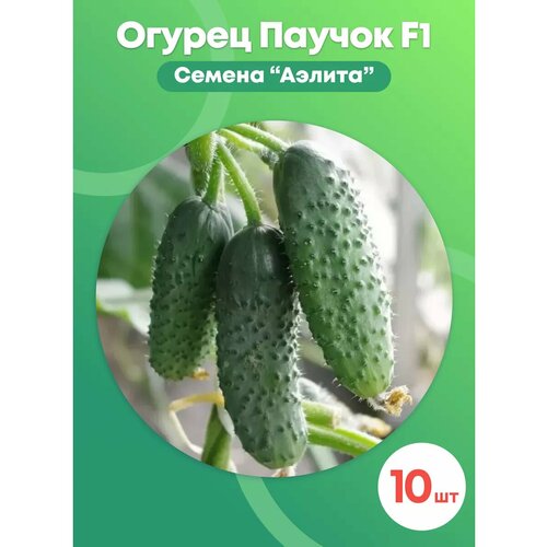 ���� ������ ������ 