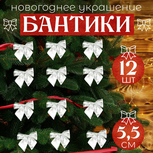 ���� ����� �� ���� ����������� 12�� 5,5��, ������ �� 272 ���