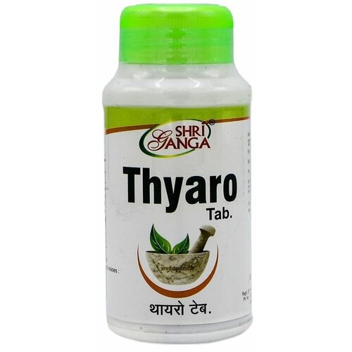 ���� SHRI GANGA ����� ��� ������������ ������ ���������� ������ 120���, ������ �� 890 ���