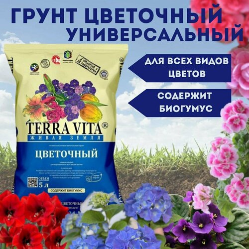 ���� ����� Terra Vita 