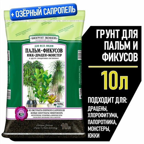 ���� ����� ��� ������� � ����� ����, ����� ��� ������ ����������, ������� � ��������, ����������� � �����������, �������, ������������ � �����������-���������� ��������, 10 �., ������ �� 589 ���