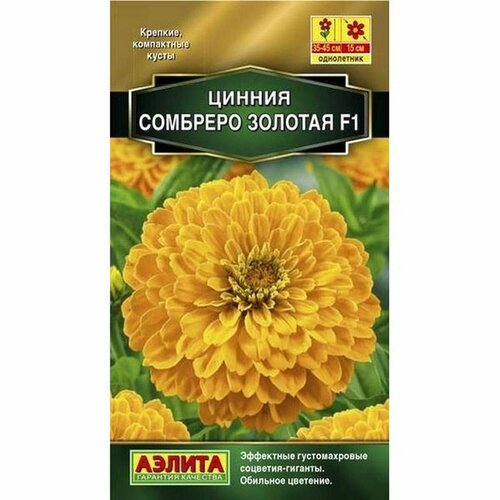 ���� ������ ������ �������� F1 �������, ����������, (������) 12��, ������ �� 55 ���