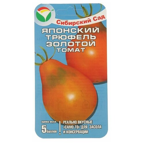 ���� ������ ����� 