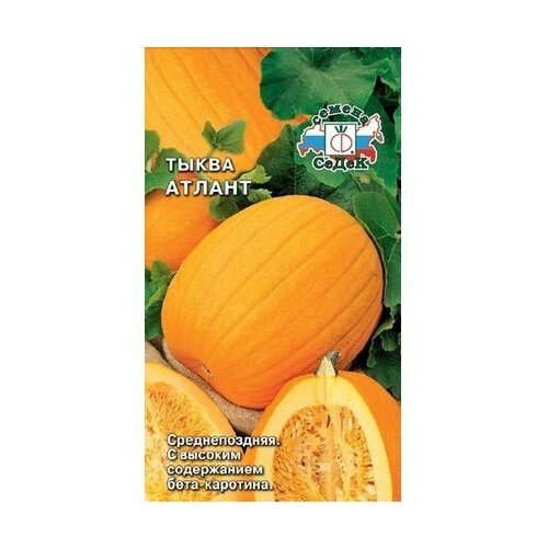 ���� ������ ����� ����� ������, ������ �� 74 ���