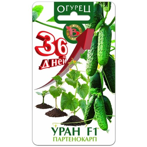 ���� ������ ������ ���� F1 (8��), ������ �� 239 ���