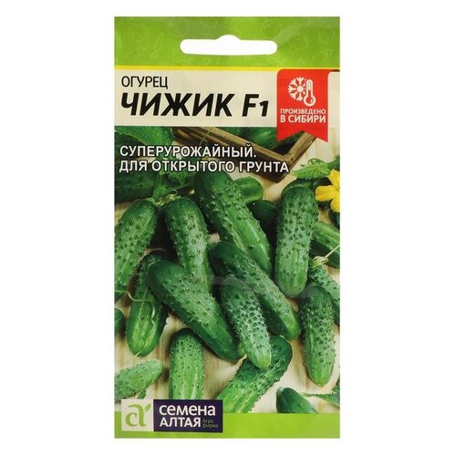 ���� ������ ������ ����� ������ ����� F1, 8 ��, ������ �� 41 ���