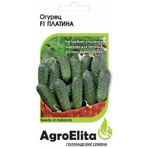 ���� ������ ��������� 