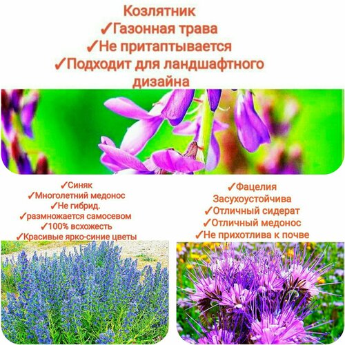 ���� ����� ���������� ����/���������,600�� (�������+�����+���������),, ������ �� 989 ���