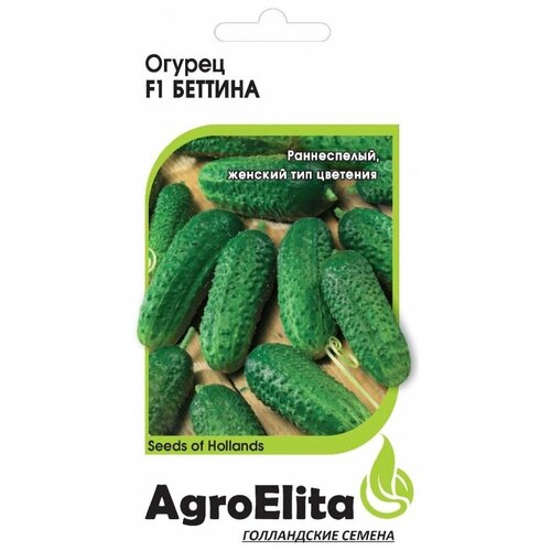 ���� ������ ��������� 