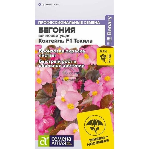     F1   5  25 ( ),   197 