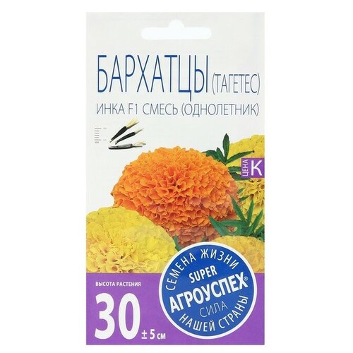 ���� ������ ������ �������� 