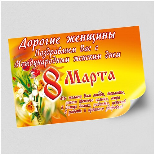 ���� ����������/������ �������������� �� 8 ����� / �-3 (42x30 ��.), ������ �� 435 ���