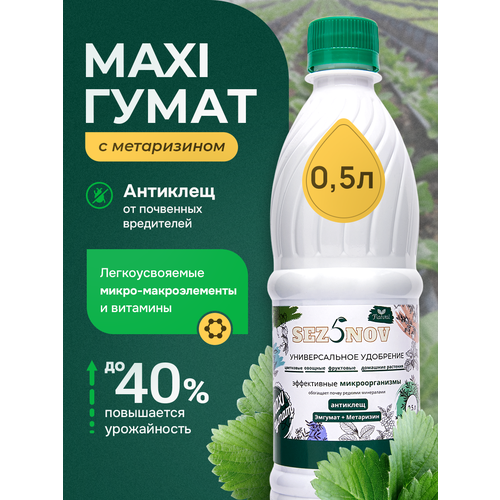    MAXI   , ,  ,  ,        , 500 , ,   447 