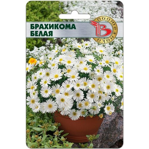 ���� ������ ��������� ����� 200 ���� ����� ����������, ������ �� 360 ���